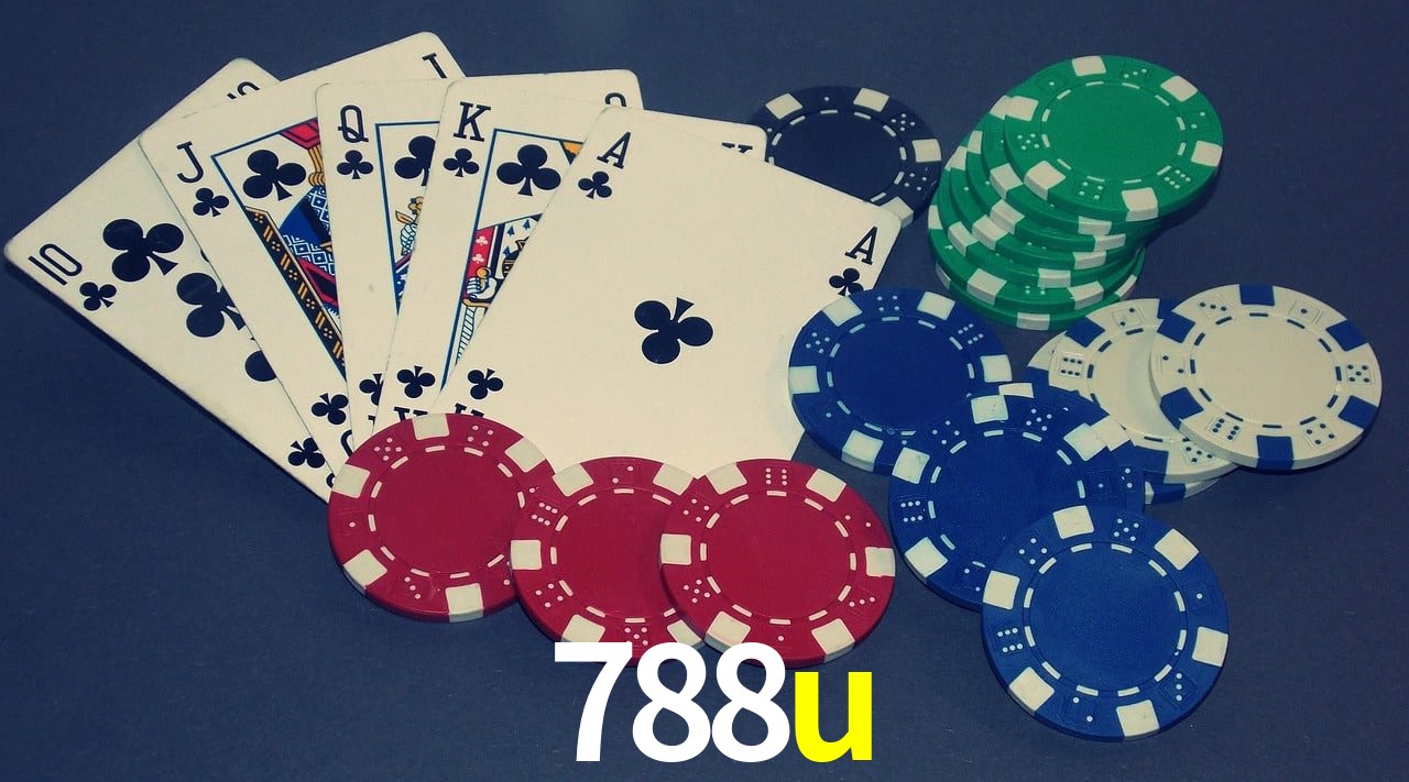 Casino VIP 788u