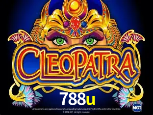 A Experiência Imersiva dos Cassinos Ao Vivo no 788u